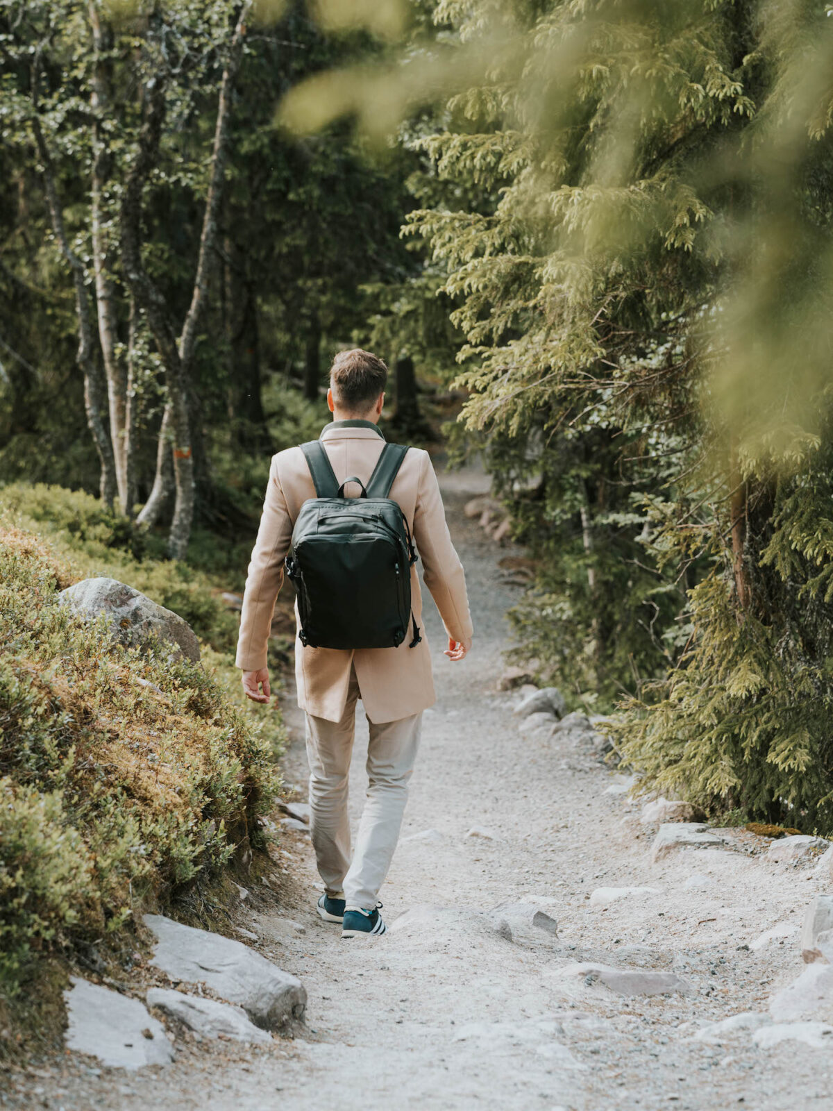 Fulufjället National Park Sweden